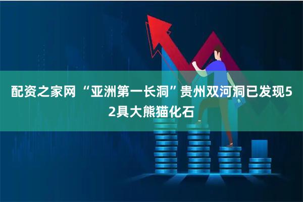 配资之家网 “亚洲第一长洞”贵州双河洞已发现52具大熊猫化石